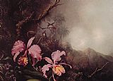 Two Orchids in a Mountain Landscape by Martin Johnson Heade